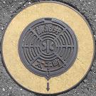 ���q���r�D��