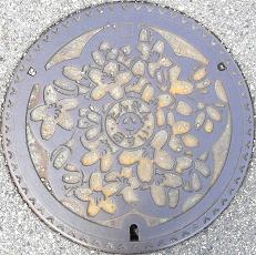 �R�s�}���z�[��