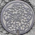 �R�s�}���z�[��