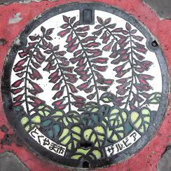 ���R�s�}���z�[��