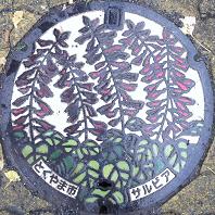 ���R�s�}���z�[��