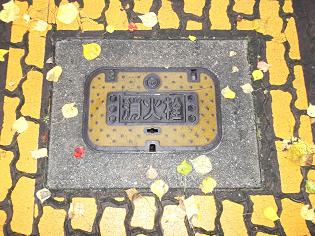 ���R�s���ΐ�