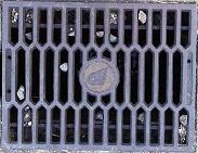 �O�d�����a