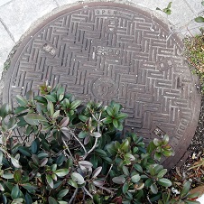 �_�ˎs�}���z�[��