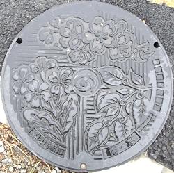 �������܎s�}���z�[��