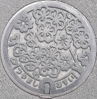 �ÎR�s�}���z�[��