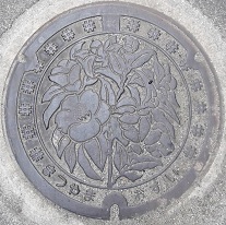 ���R�s�}���z�[��