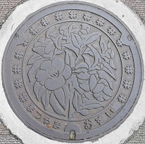 ���R�s�}���z�[��