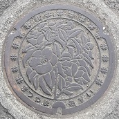 ���R�s�}���z�[��