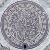 ���R�s�}���z�[��