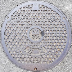 �l���K�X�}���z�[��