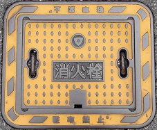 �V���s���ΐ�