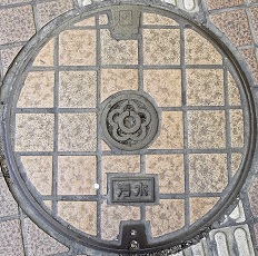 �V���s�}���z�[��