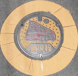 �V���s���ΐ�