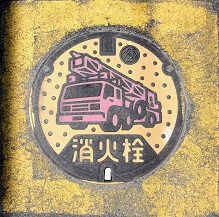 �V���s���ΐ�