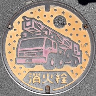 �V���s���ΐ�