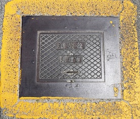 �V���s���ΐ�