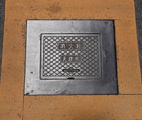 �V���s���ΐ�