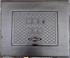 �V���s���ΐ�