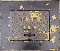 �V���s���ΐ�