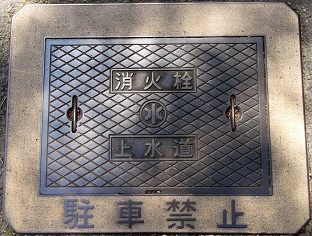 �V���s���ΐ�