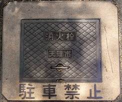 �V���s���ΐ�