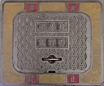 �V���s���ΐ�