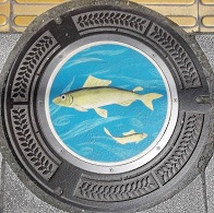 ���m�R�s�}���z�[��