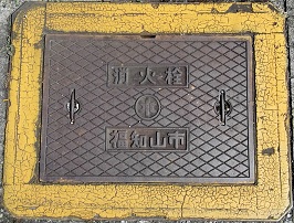 ���m�R�s���ΐ�