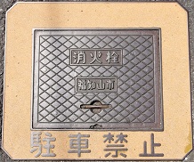 ���m�R�s���ΐ�