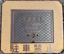 ���m�R�s���ΐ�