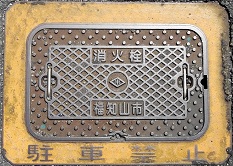 ���m�R�s���ΐ�