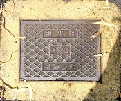 ���m�R�s���ΐ�