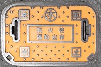 ���m�R�s���ΐ�