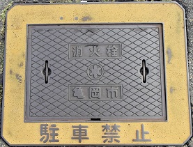 �T���s���ΐ�