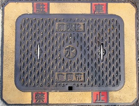 �T���s���ΐ�