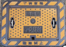 �T���s���ΐ�