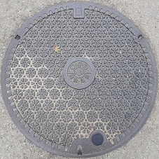 ���{�����a