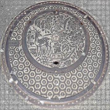 �ޗǎs�}���z�[��