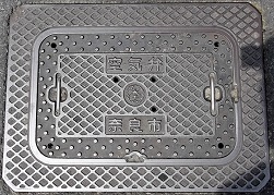 �ޗǎs��C��