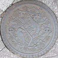 �����s�}���z�[��