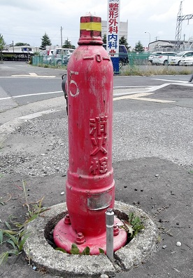 �Ԋ��s���̏��ΐ�