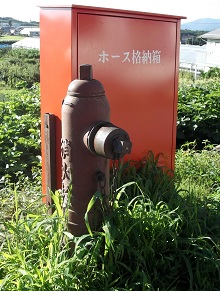 �����򒬗��̏��ΐ�