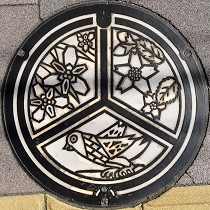 �S�R�s�}���z�[��