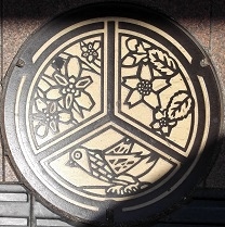 �S�R�s�}���z�[��