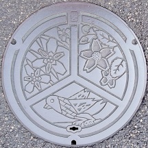 �S�R�s�}���z�[��