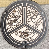 �S�R�s�}���z�[��