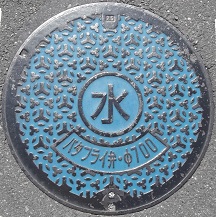 �S�R�s�o�^�t���C��