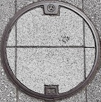 �S�R�s�}���z�[��