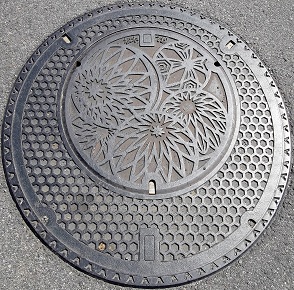 ���{�s�}���z�[��